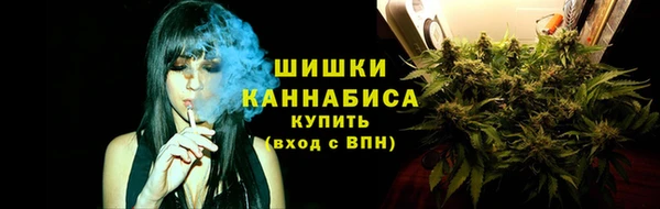 бошки Нестеровская