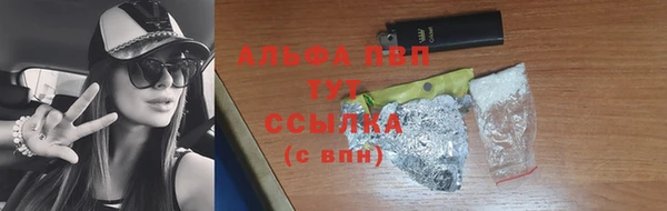 крисы Вязьма