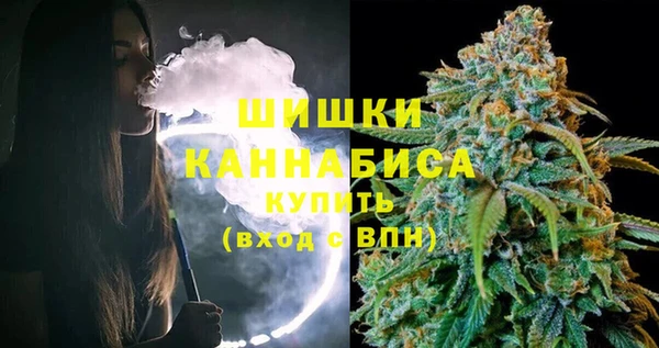 крисы Вязьма
