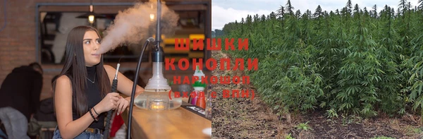 крисы Вязьма