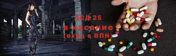 крисы Вязьма